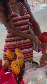 Tala Mini Dress Fushia Multi